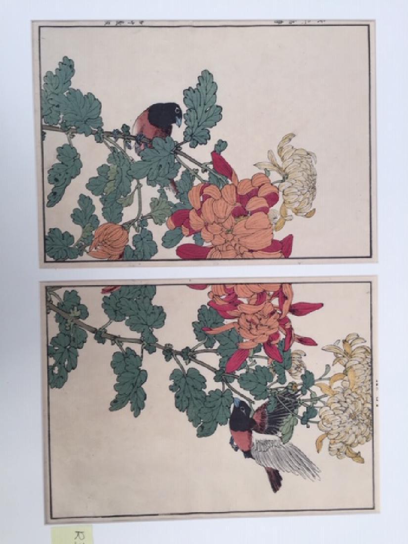 Pair of brown/black birds - IMAO KEINEN (1 of 1)