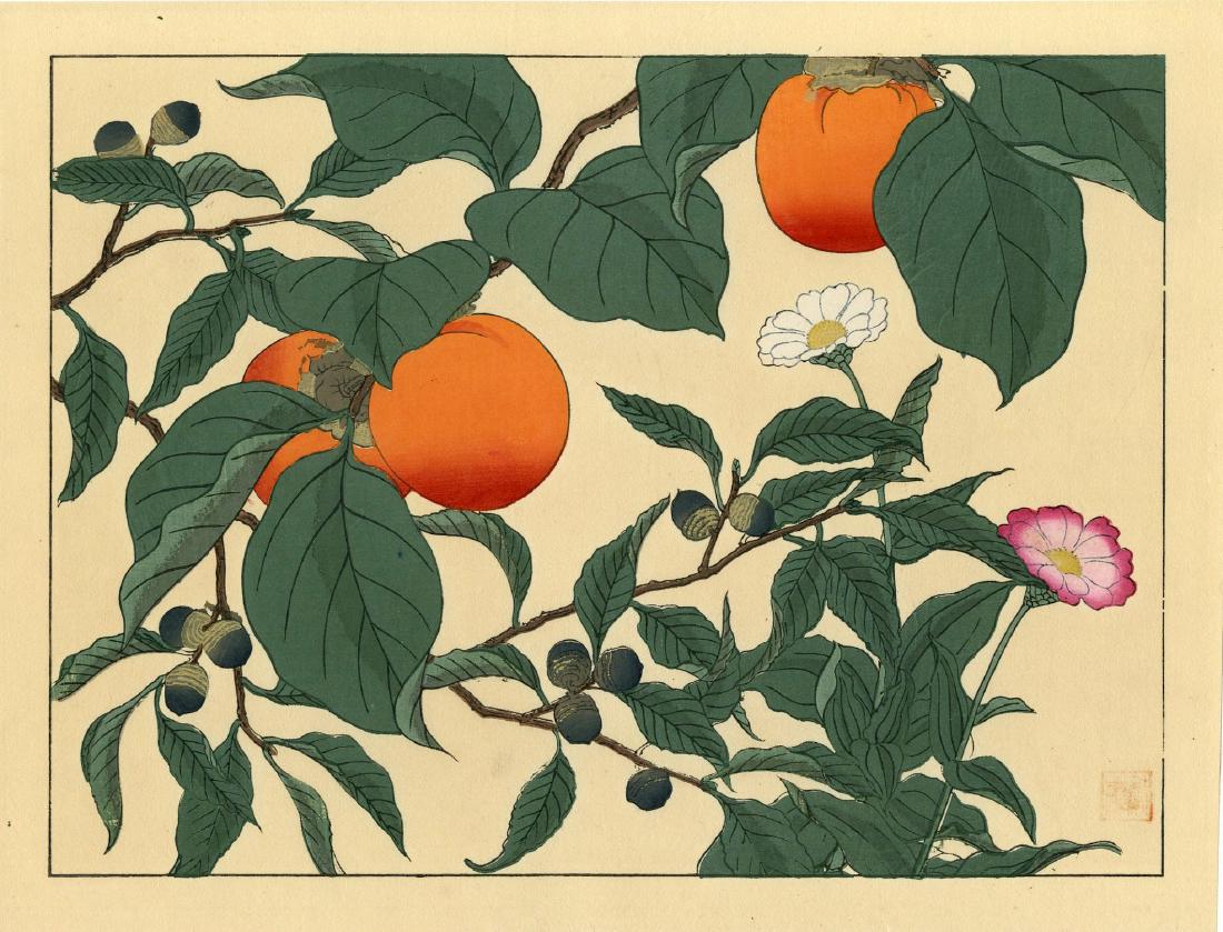 Persimmons and Acorns Woodblock: Japanese Woodblock Print, 1930s SIZE IN INCHES: oban, 13.75 x 10.5 inches PROVENANCE: From the estate of Robert O. Muller Shipping: Domestic: Flat-rate of $25.00 to anywhere within the contiguous U.S.