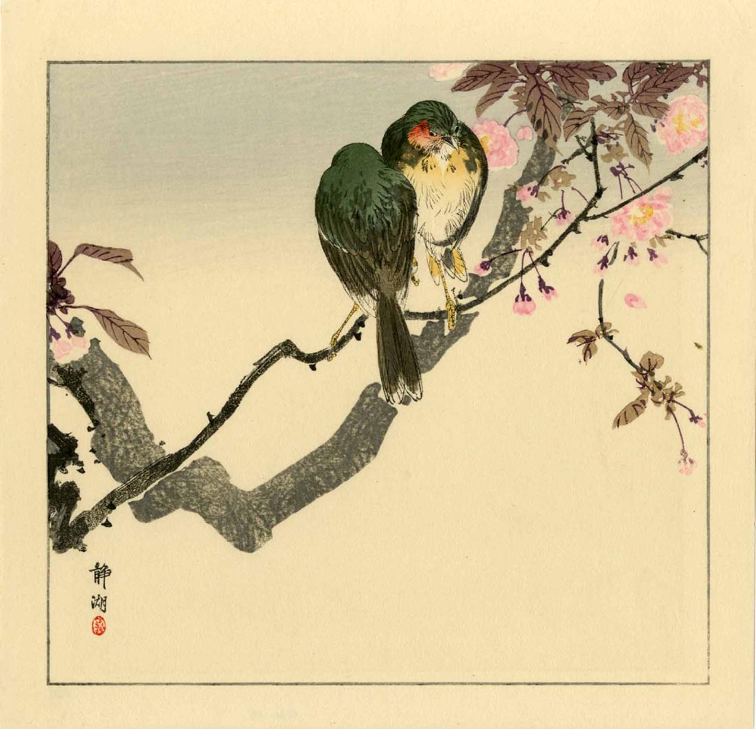 Seiko Okuhara: Japanese Robins Woodblock: Japanese Woodblock Print, 1930 published by Kawaguchi SIZE IN INCHES: shikishi, approx. 11.25 x 11 inches PROVENANCE: from the Robert O. Muller eatate SEIKO OKUHARA (1837-1913) was born the daughter o