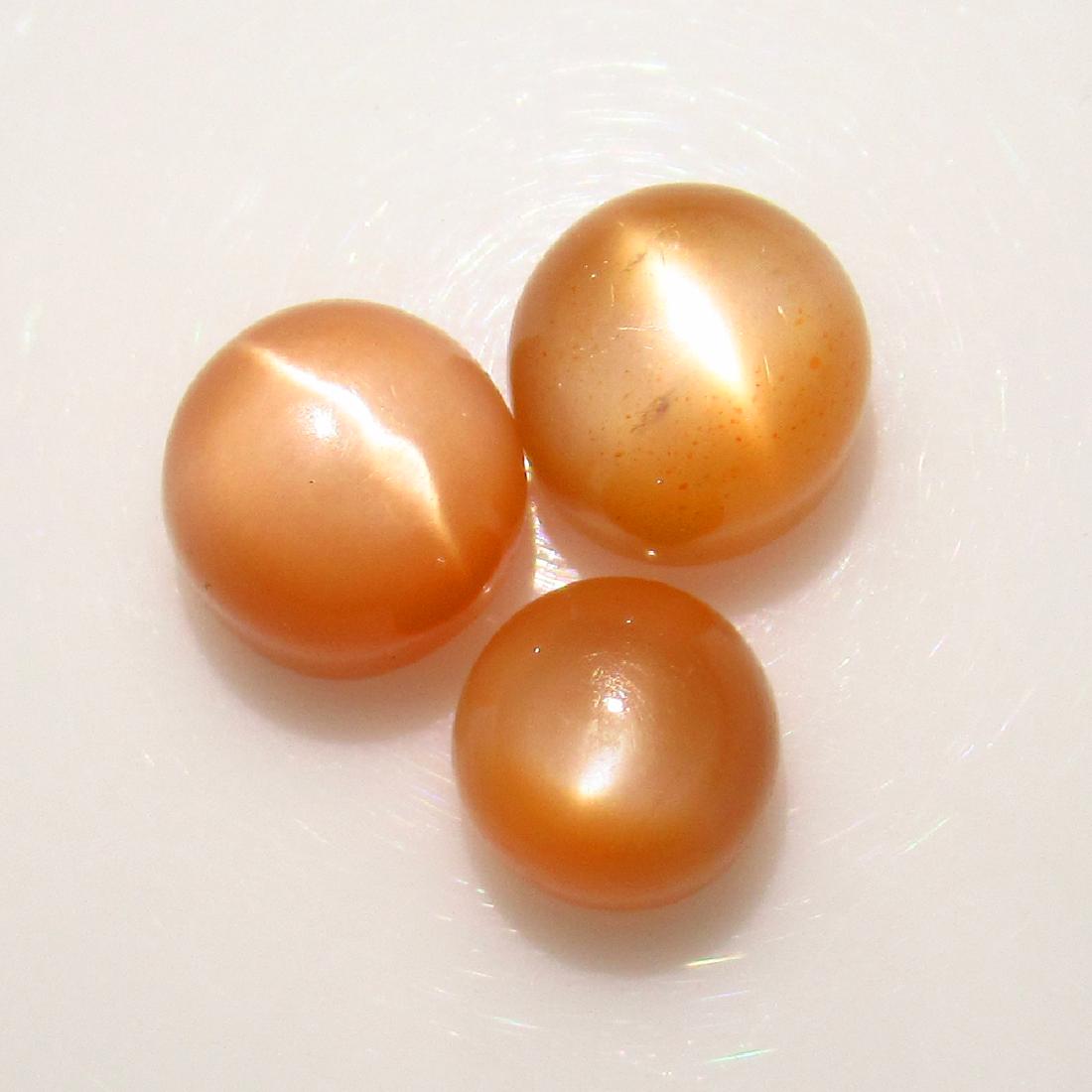 12.70 Ct Genuine 3 Brown Moonstone Catseye Round Cab: No Reserve! Title: 12.70 Ct Genuine 3 Brown Moonstone Catseye Round Cab Stone Clarity: Transparent Gemstones: Natural Moonstone Catseye Carat Weights: 12.70 Size/Dimensions: 7.80 x 7.00 to 8.80 x 7.80