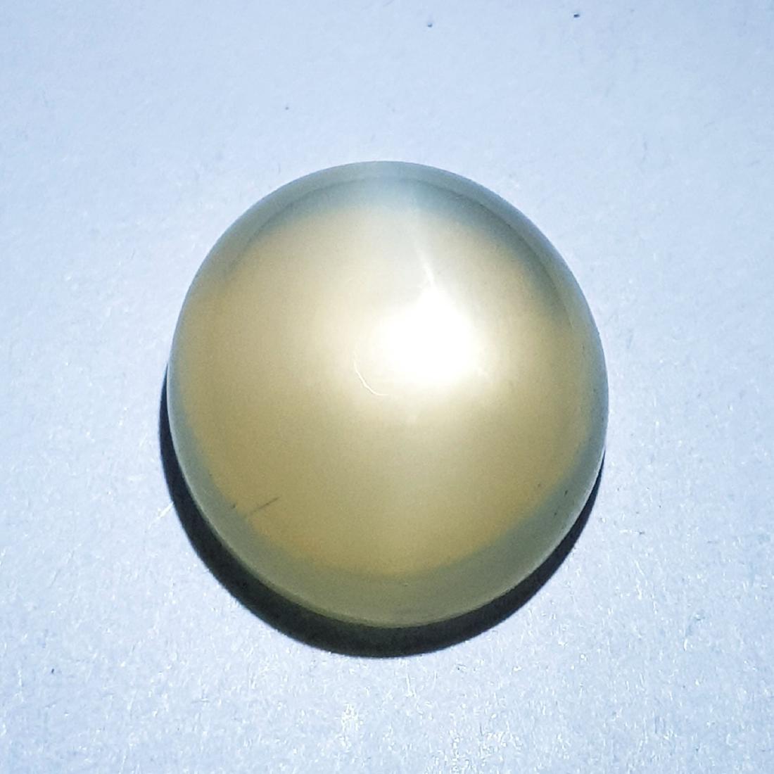 9.80 ct Natural Orange Moonstone: No Reserve! Title: 9.80 ct Natural Orange Moonstone Color/Clarity: Semi -Transparent Gemstones: Loosegemstone Carat Weights: 9.8 Size/Dimensions: 15.20 x 13.50 x 6.70 Additional Information: Oval - Ta