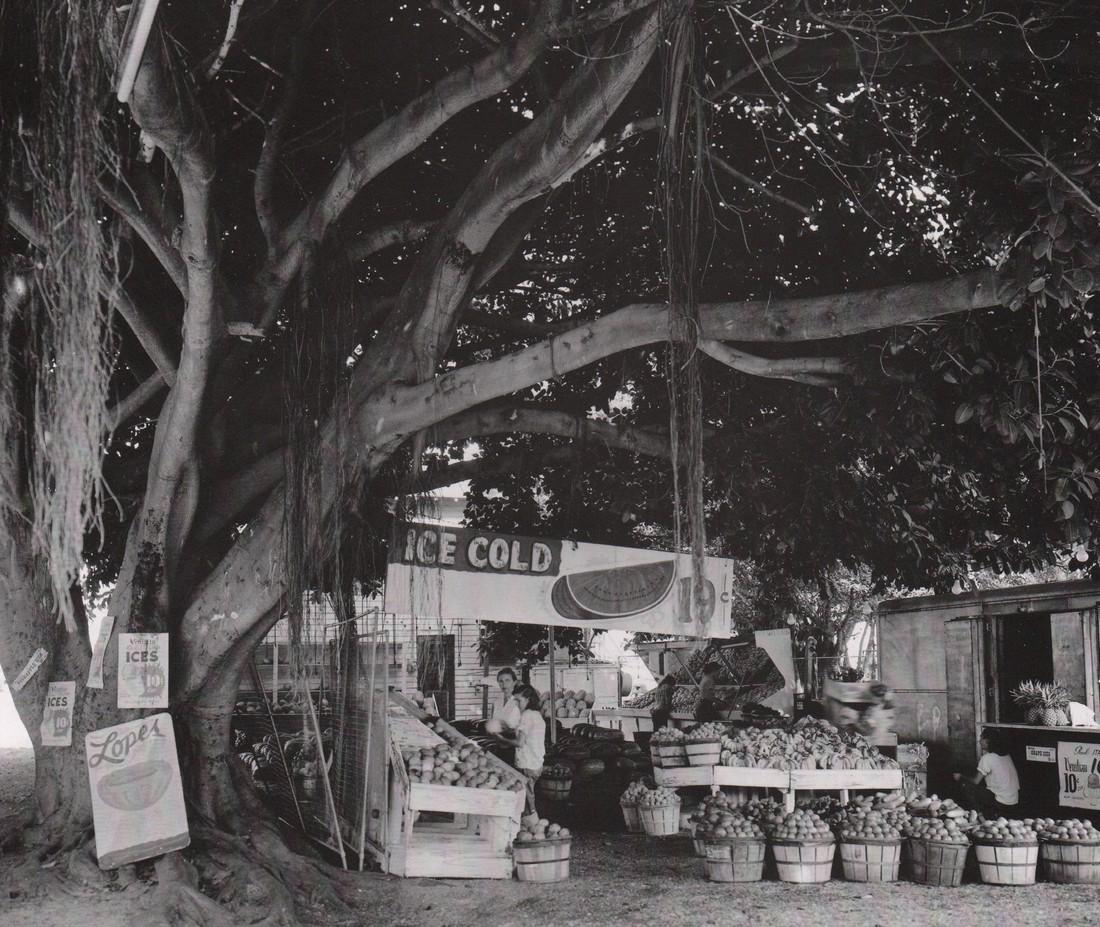 BERENICE ABBOTT- Fruit Market, South Dixie Hwy.,: Artist: BERENICE ABBOT Print Title: Fruit Market, South Dixie Hwy., Miami, 1954 Medium: Photo-lithograph Printed in: Japan, 1982 Image Size: approx. 8 x 9.5” Berenice Abbott (1898 – 1991),was an A