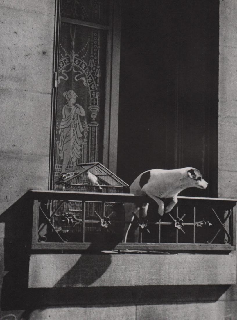 KERTESZ - The concierge's dog, 1926: Artist: KERTESZ Print Title: The concierge's dog, 1926 Medium: Photoengraving Printed 1970’s in the USA Image size (inches) approx. 9 x 7” Andre Kertesz (1894-1985) born Kertesz Andor, was a Hun