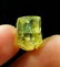 Natural & Unheated~ Green Beryl Rough Crystal - 10