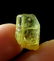 Natural & Unheated~ Green Beryl Rough Crystal - 4