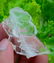 19 Gram Amazing Fadan Quartz Specimen - 3