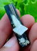 7 Gram Beautiful Natural Green Cap Tourmaline &
