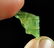Natural & Unheated~ Green Beryl Rough Crystal - 4
