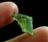 Natural & Unheated~ Green Beryl Rough Crystal - 8