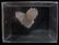 GHOST/CACTUS QUARTZ - COLLECTORS ITEM - 7