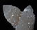 GHOST/CACTUS QUARTZ - COLLECTORS ITEM - 8