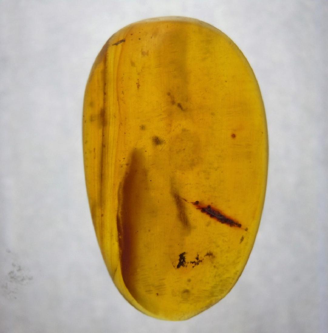100 MILL YEARS OLD BURMITE AMBER: Title: 100 MILL YEARS OLD BURMITE AMBER Origin: Hukawang Valley, Kachin State, Myanmar Size: 2.8x1.7x0.6 cm / 1.78 gram yellow burmite amber with minor inclusions. some natural cracks Reserve: $3.00 S