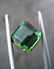 Tourmaline Green Certified - 4.59 ct - 5