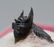 Flying trilobite : Metacanthina issoumourensis - 6