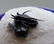 Flying fossil trilobite "devil horn": Cyphaspis - 6