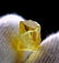 Natural & Unheated~ Yellow Beryl Heliodor Rough - 3