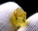 Natural & Unheated~ Yellow Beryl Heliodor Rough - 6