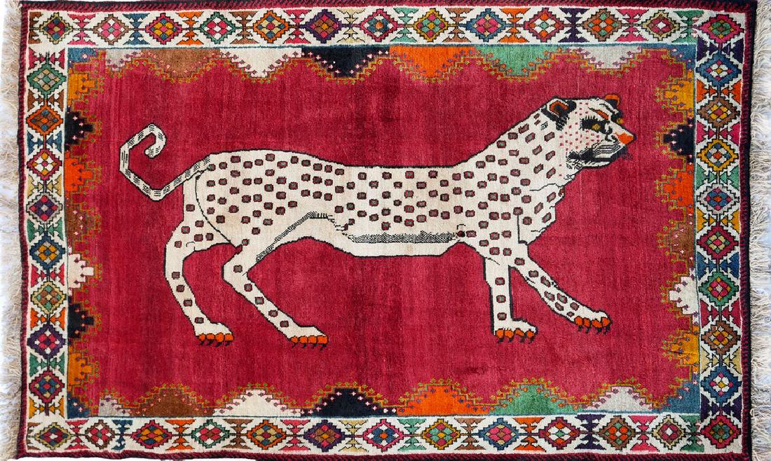 Animal Qashqai (1 of 15)