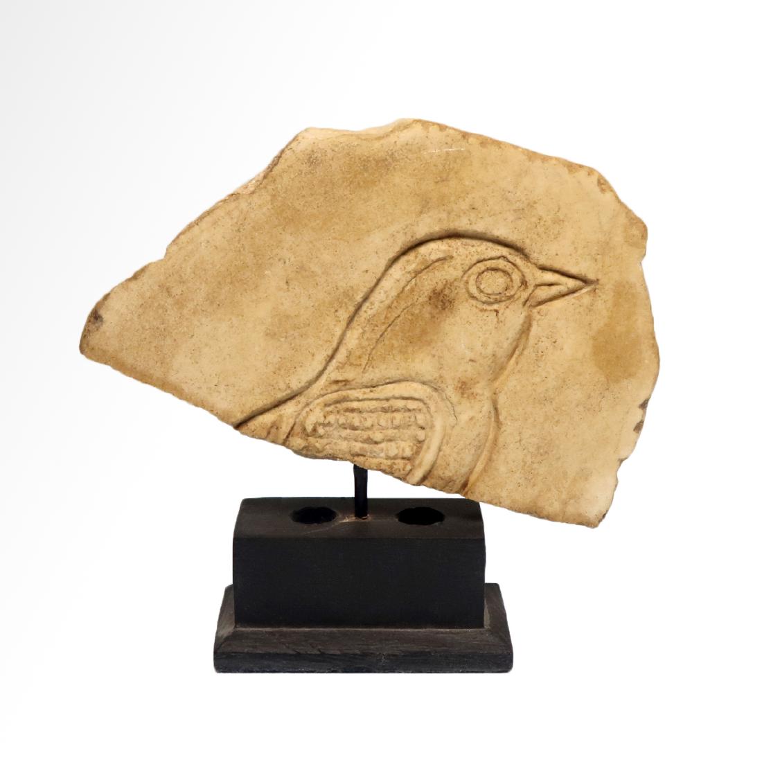 Egyptian Limestone Relief of a Chick, c. 900 B.C. (1 of 6)