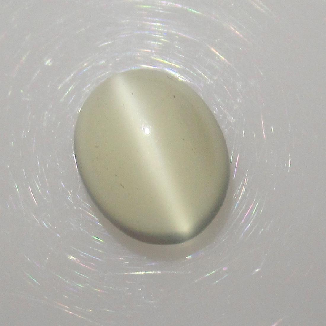 3.18 Ct Genuine White Moonstone Catseye 10X8 mm Oval (1 of 2)