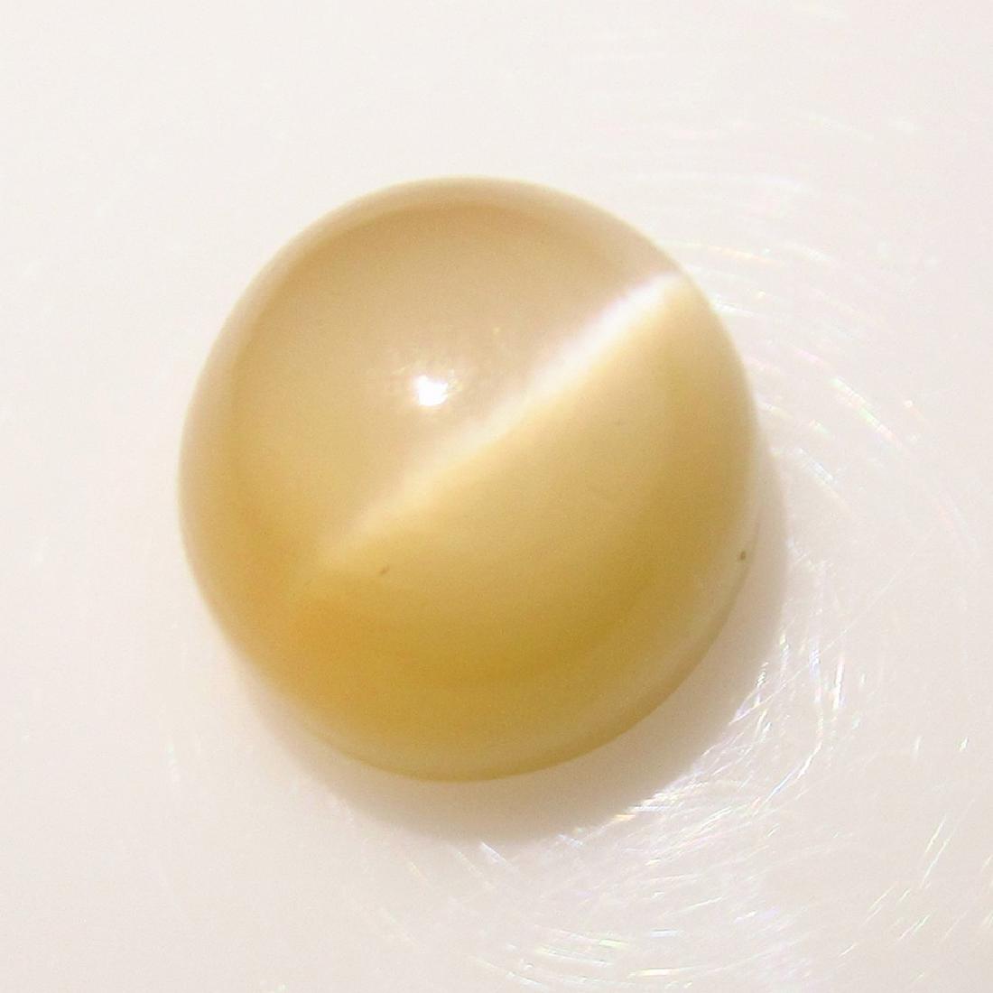 6.96 Ct Genuine Moonstone Catseye 11 mm Round Cab: No Reserve! Title: 6.96 Ct Genuine Moonstone Catseye 11 mm Round Cab Stone Clarity: Transparent Gemstone: Natural Moonstone Catseye Carat Weights:6.96 Size/Dimension: 10.90 x 10.90 x 7.80 mm Additiona