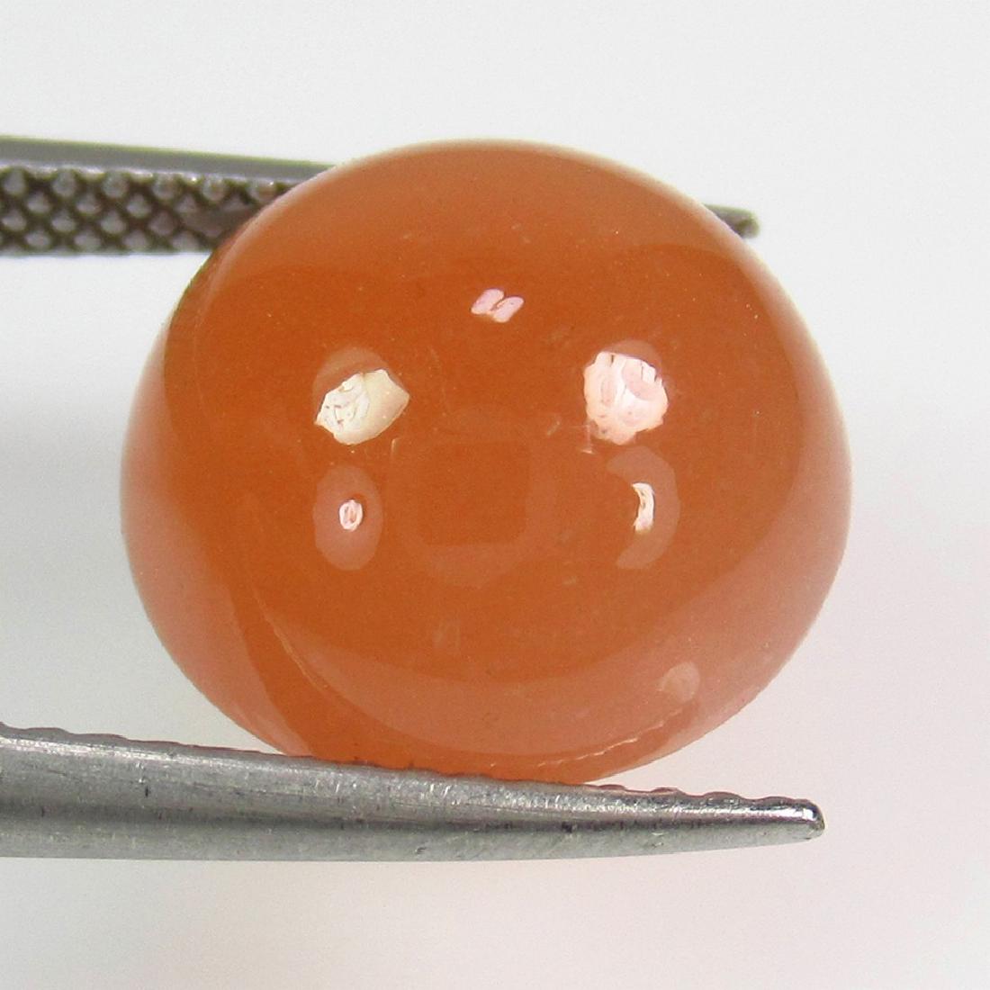 6.95 Ctw Natural Brown Moonstone 12 mm Round: No Reserve! Title: 6.95 Ctw Natural Brown Moonstone 12 mm Round Stone Clarity: Transparent Gemstone: Moonstone Size/Dimension:6.95 Carat Weights: 12.00 x 7.10 mm Additional Information: Nice Round Cab