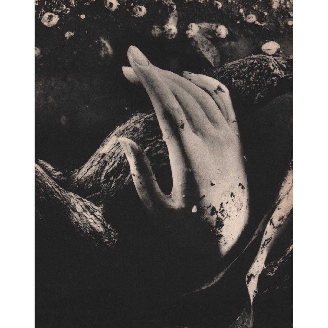 RUTH BERNHARD - Dead Hand: Artist: RUTH BERNHARD Print Title: Dead Hand Medium: Sheet-fed Gravure Printing Date: 1940's Printed: USA Image size approx. 6 x 7.5 inches Ruth Bernhard (1905 – 2006), was a legendary San Francisco