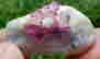 item-71570026=1