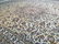STUNNING ANTIQUE PERSIAN KASHAN RUG 9'.6"x13'.2" - 9
