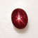 1.74 Ctw Natural Six Line Star Ruby Oval Cab