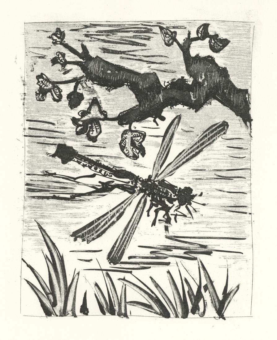 Pablo Picasso "La Libellule" The Dragonfly | Buffon (1 of 1)