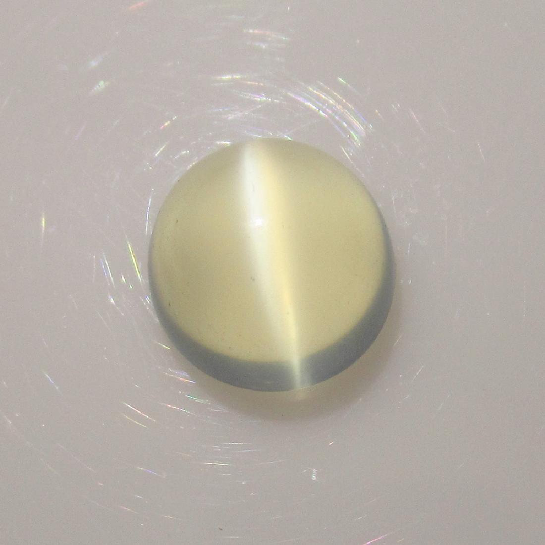 3.63 Ct Genuine White Moonstone 9 mm Round Cab: No Reserve! Title: 3.63 Ct Genuine White Moonstone 9 mm Round Cab Stone Clarity: Transparent Gemstones: Natural Moonstone Carat Weights: 3.63 Size/Dimensions: 9.00 x 8.90 x 6.50 mm Additional Informat