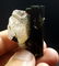 18 Grams Lovely Green Cap Tourmaline With Quartz