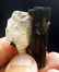 18 Grams Lovely Green Cap Tourmaline With Quartz - 7