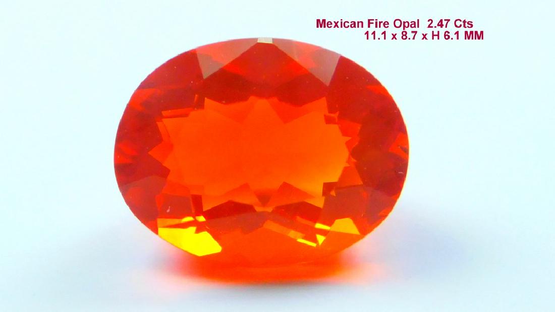 Mexican Fire Opal 2.47 Cts (1 of 6)