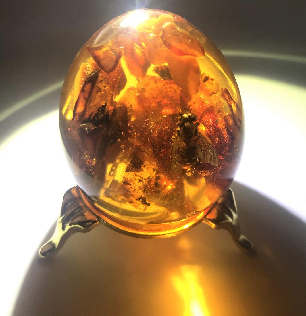 Baltic Amber egg insect bee inclusion + stand (1 of 10)