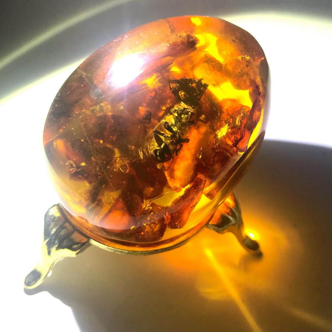 Baltic Amber egg insect bee inclusion + stand (1 of 9)