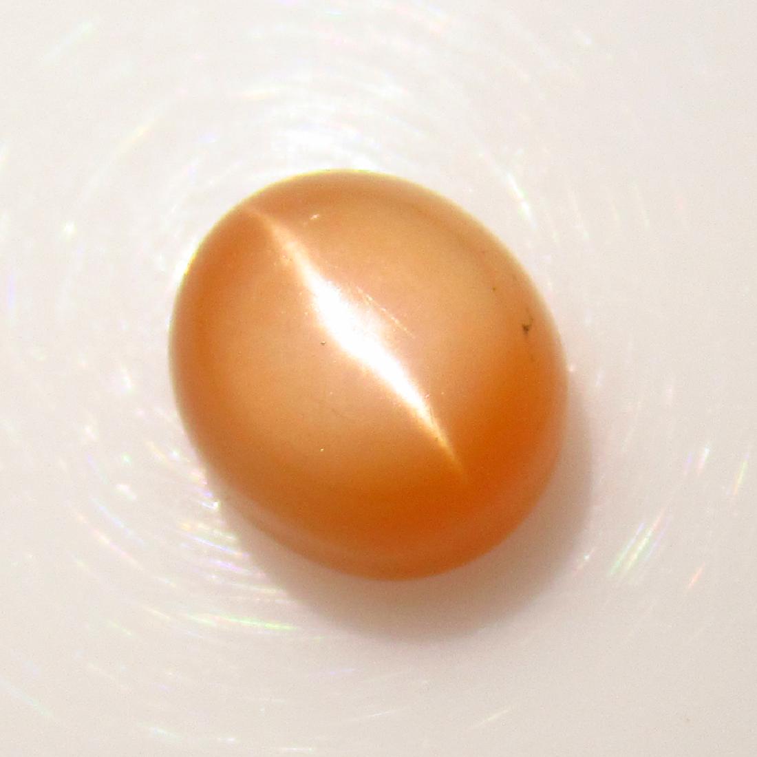 3.72 Ctw Natural Orange Moonstone Catseye Oval Cab: No Reserve! Title: 3.72 Ctw Natural Orange Moonstone Catseye Oval Cab Stone Clarity: Transparent Gemstones: Moonstone Catseye Carat Weights: 3.72 Size/Dimensions: 9.10 x 8.20 x 6.30 mm Additional Info