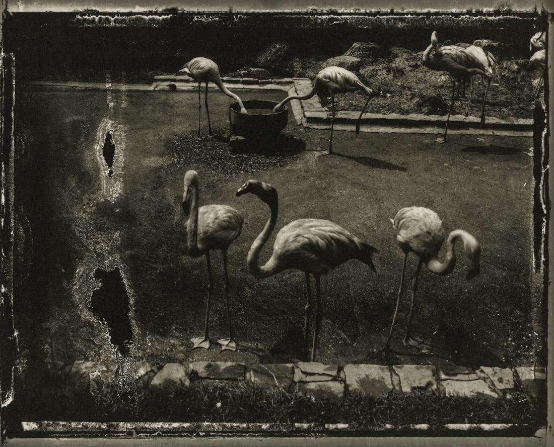 SARAH MOON - Antwerp, 1990: Artist: Sarah Moon Title: Antwerp, 1990Medium: Photo Litho, 2001, Italy Dimensions: 9.8x7.9" Heat Wax Mounted on 11x14" Conservation Board Sarah Moon (1941) previously known as Marielle Warin, is a Fr