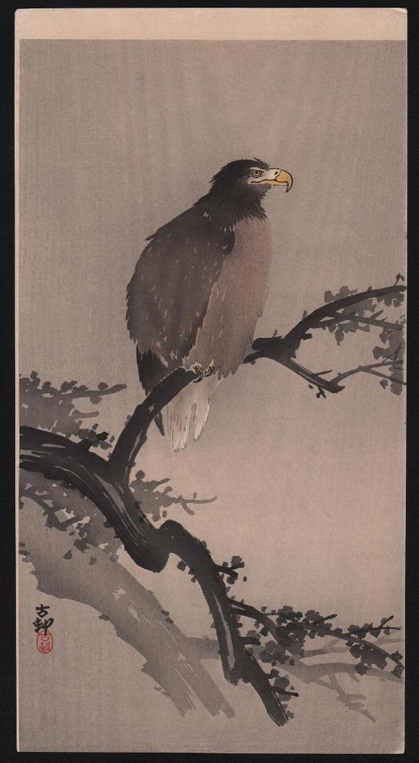 Ohara Koson: Eagle on Branch.: Artist: Ohara Koson. Subject: Eagle on Branch. Date: c.1910's. Size: Measures: 7.5" x 14". Condition: Fine color, impresion, condition. NOTE: Outstanding impression with profuse wood-grain evident. Re