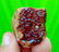 54 Gram Top Quality Red Garnet Specimen