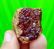 54 Gram Top Quality Red Garnet Specimen - 3