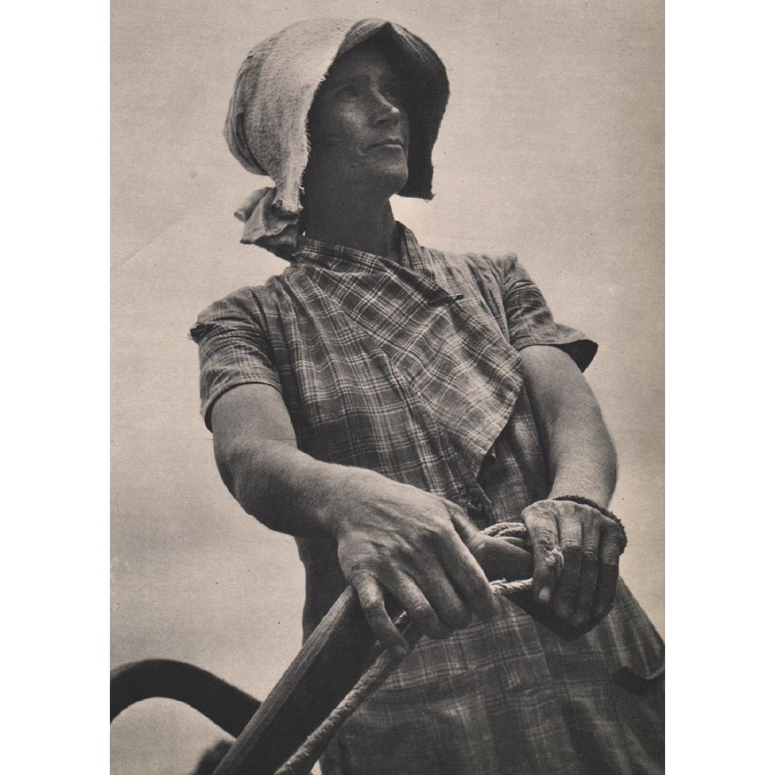 MARGARET BOURKE-WHITE - Working the Plow, Hamilton: Artist: MARGARET BOURKE-WHITE Print Title: Working the Plow, Hamilton Alabama Medium: Sheet-fed Gravure Printing Date: 1930's Printed in the USA Image Size approx: 6 x 9 inches Margaret Bourke-White (