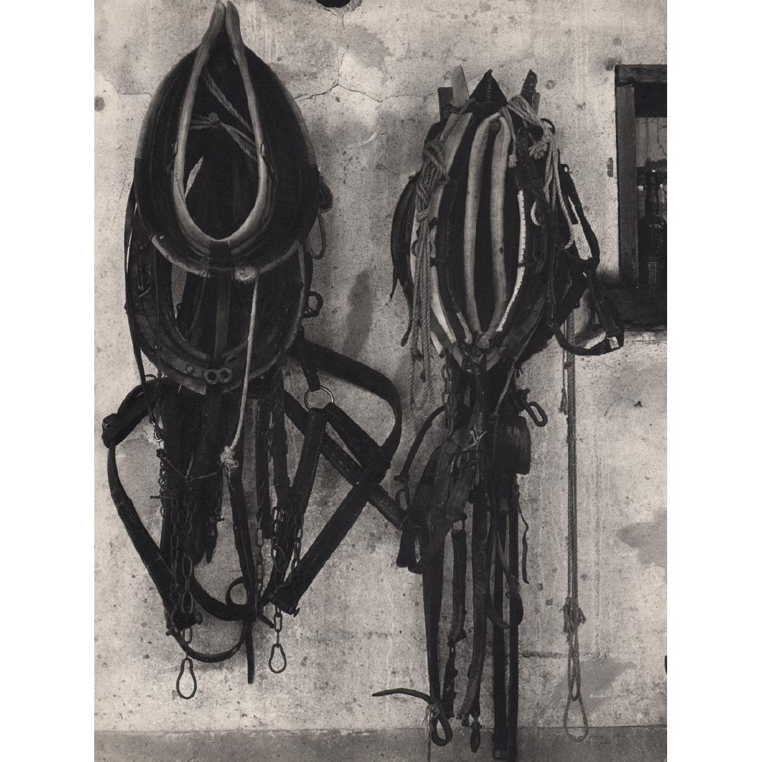 PAUL STRAND - Harness: Artist: PAUL STRAND Print Title: Harness Medium: Sheet-Fed Gravure Printing Date: 1950's Printed in Switzerland Image Size approx: 8.5 X 11 inches Paul Strand (1890–1976) was an American photographe