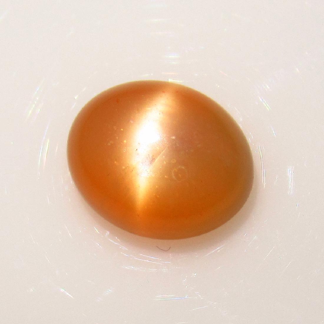 2.59 Ctw Natural Orange Moonstone Oval Cab: No Reserve! Title: 2.59 Ctw Natural Orange Moonstone Oval Cab Stone Clarity: Transparent Loose Gemstone: Moonstone Carat Weight: 2.59 Size/Dimensions: 9.90 x 8.10 x 4.40 mm Orange Color / Oval Cabocho