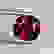 item-72624344=4