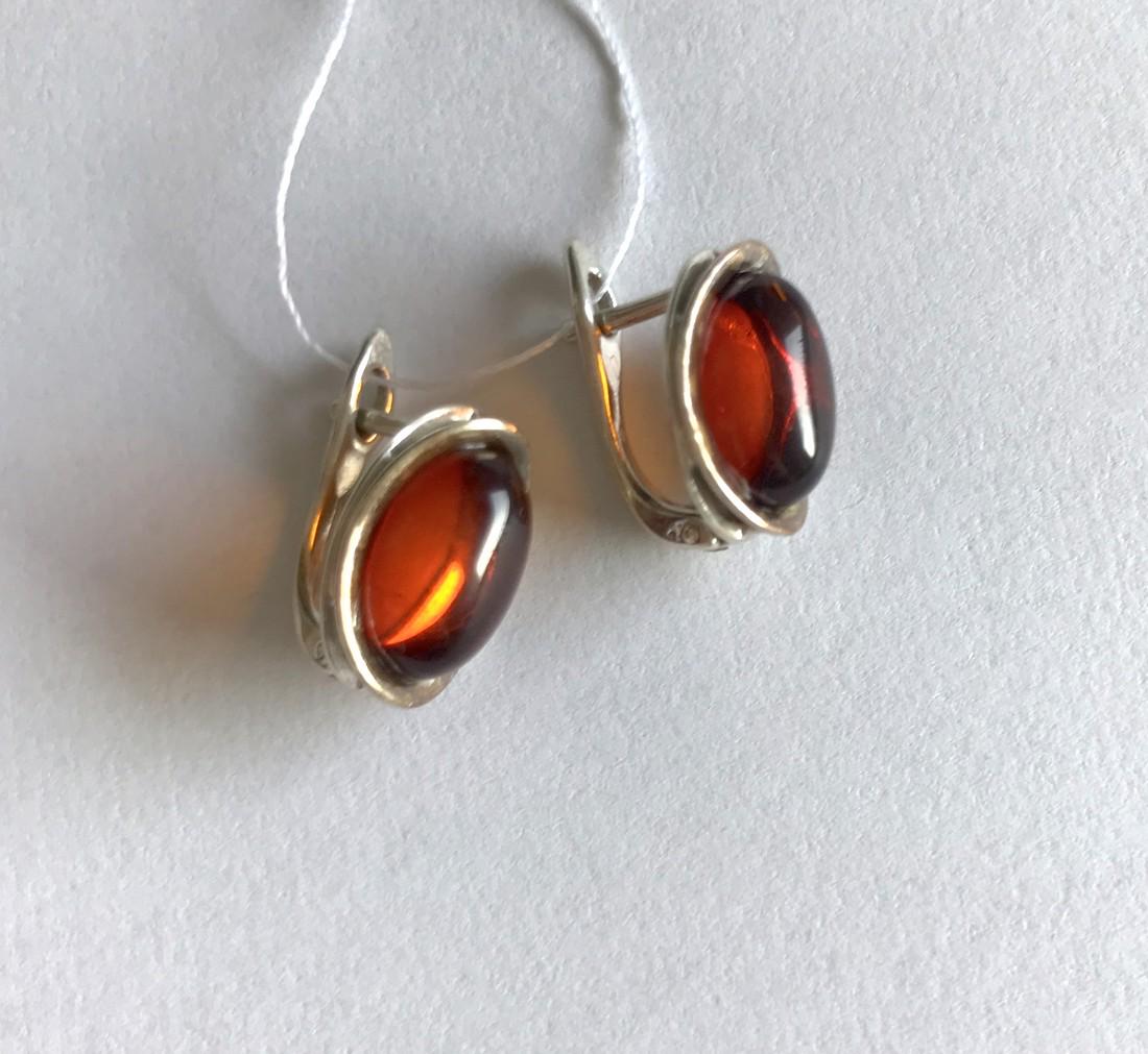 Earrings Sterling silver and Baltic amber, seal (1 of 5)