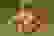 item-73040788=3