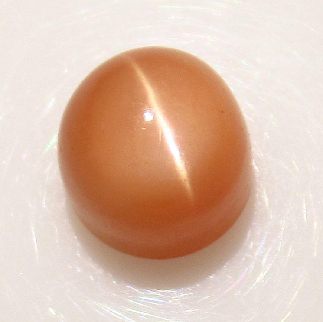 4.09 Ct Genuine Orange Moonstone Catseye Round Cab: No Reserve! Title: 4.09 Ct Genuine Orange Moonstone Catseye Round Cab Stone Clarity: Transparent Gemstones: Natural Moonstone Carat Weights: 4.09 Size/Dimensions: 8.20 x 8.20 x 7.70 mm Additional Info