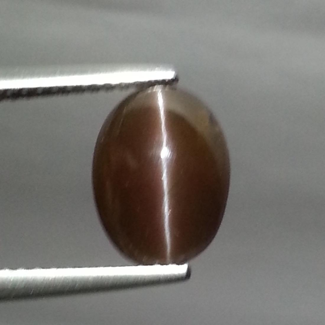 3.10 ct Natural Scapolite Cat's Eye: No Reserve! Title: 3.10 ct Natural Scapolite Cat's Eye Color/Clarity: Opaque Gemstones: Loosegemstone Carat Weights: 3.1 Size/Dimensions: 10.50 x 7.70 x 5.10 Additional Information: Oval - Africa Ship